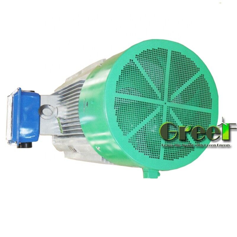 Air Cooled Permanent Magnet Motor with Cast Iron Shell and High Efficiency for Industrial Use
