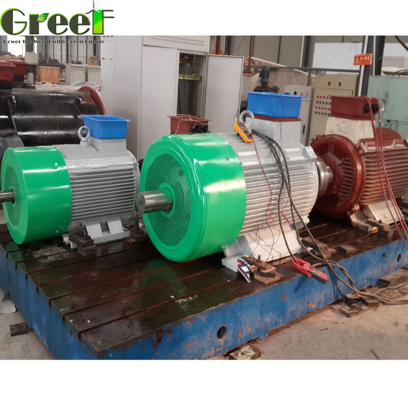 كفاءة أعلى من 95 في المائة مغناطيسية محرك تقييم الطاقة 750w 5Mw هندسية لأداء في التصنيع والمعالجة